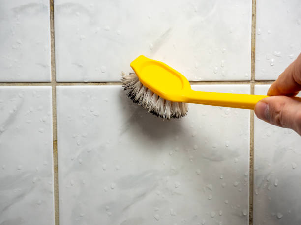 Best Localized Mold Remediation (e.g., coastal areas, humid climates) in La Plata, MD